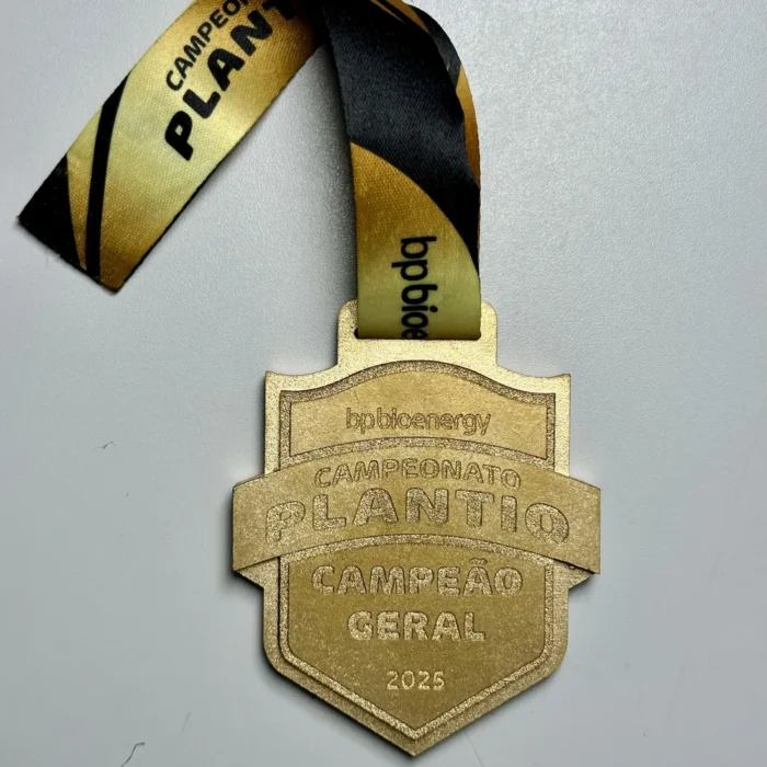 Medalha com 10cm feita em wookmark 6mm - IMGM0004