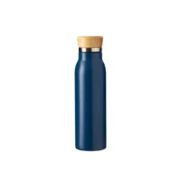Garrafa Térmica 600ml - 19072